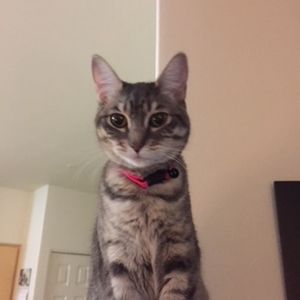 Meet your Posher, Karen